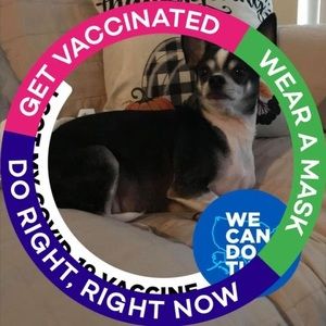 Meet your Posher, Cynthia